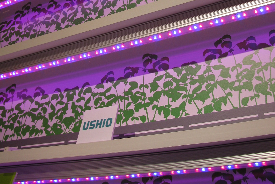 Rohm LED-Steuerung lässt Pflanzen wachsen