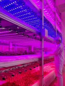Rohm LED-Steuerung lässt Pflanzen wachsen