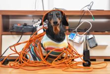 Kabel oder Funk – Was eignet sich besser fürs vernetzte Zuhause?