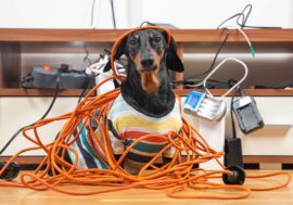 Kabel oder Funk – Was eignet sich besser fürs vernetzte Zuhause?